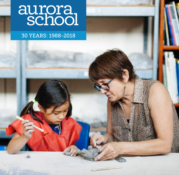2016-2017 Annual Report now online
