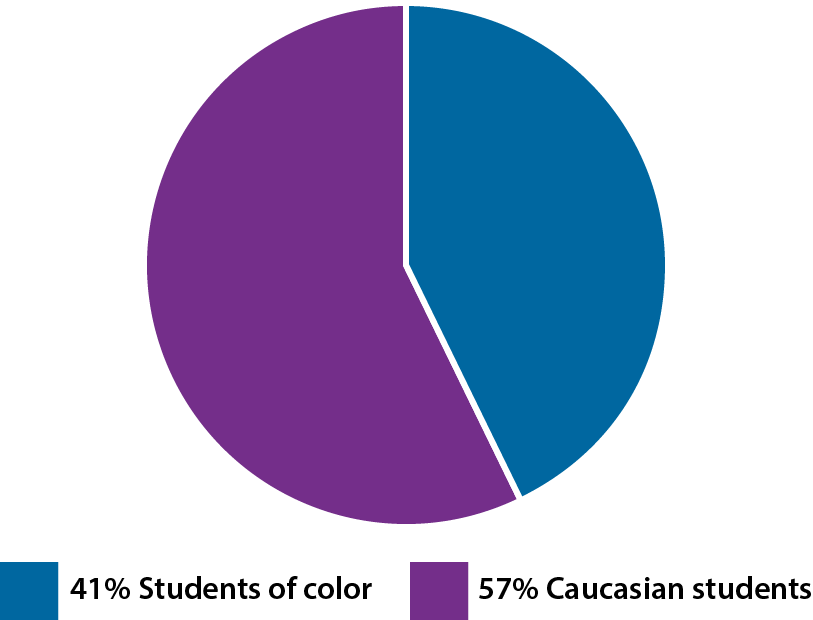 Student Racial Diversity Pie Chart