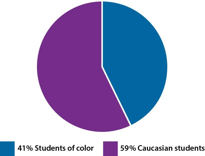 Student Racial Diversity Pie Chart
