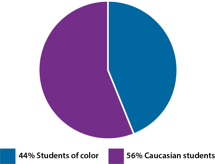 Student Racial Diversity Pie Chart